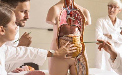 anatomie pour auxiliaire de puériculture